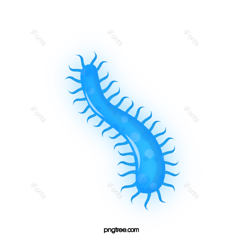 细菌图片,病毒元素,生物PNG,细胞免抠素材